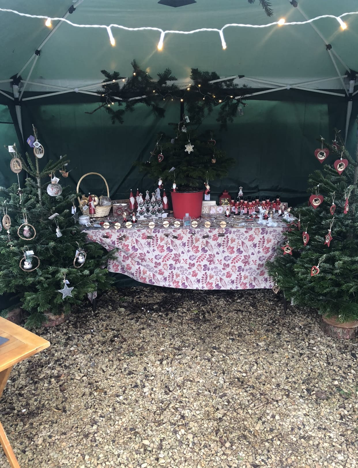 LED string lights on greenery
